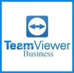 Системний додаток TeamViewer TM Business Subscription Annual (S321)