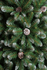 Штучна ялинка  Triumph Tree Empress  з шишками й ефектом покриття інеєм 0.6 м Зелена(8712799298095)