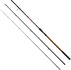 Вудилище Brain fishing Classic 3.00m max 130g (1858.42.01)