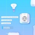Розумна розетка  TP-Link Tapo P100 (4-pack)