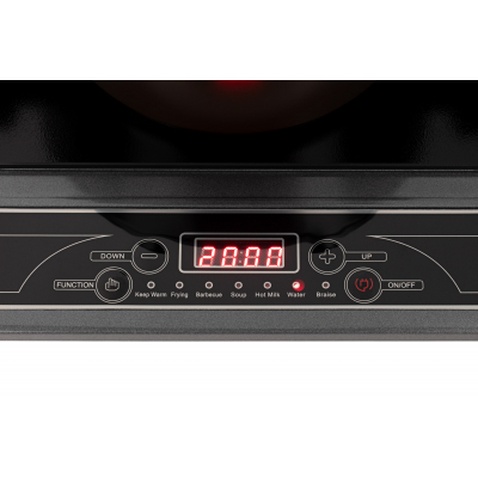 Електроплитка Ardesto ICS-B100