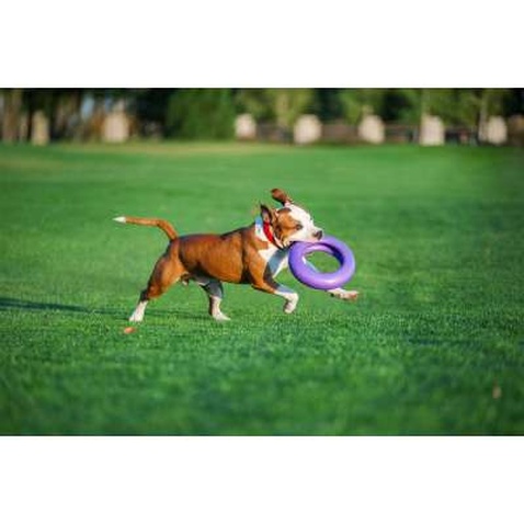 Іграшка для собак Puller Maxi 30 см (6492)