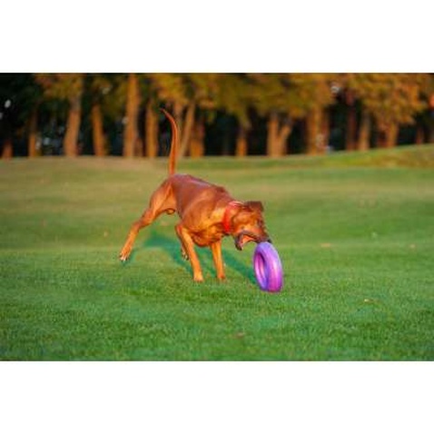 Іграшка для собак Puller Maxi 30 см (6492)
