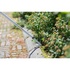 Тяпка Fiskars для прополювання White (1019604)