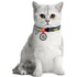 Нашийник для тварин WAUDOG Colors of freedom з QR паспортом XS 20-30 см (5210-4020)