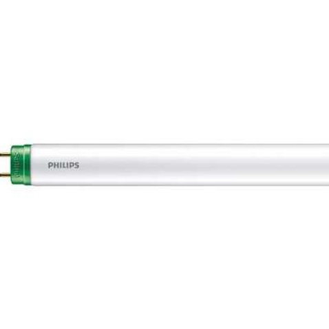 Лампочка Philips LEDtube T8 1200mm 16W 740 AP C G (929001184508)