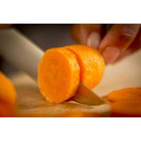 Кухонний ніж Tefal Ice Force 11 см (K2320914)