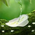 Гігієнічні прокладки Naturella Ultra Normal 10 шт (4015400125037)