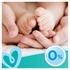 Дитячі вологі серветки Pampers Fresh Clean 52 шт (8001841041360)