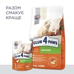 Сухий корм для кішок Club 4 Paws Преміум. Для кошенят зі смаком курки 300 г (4820083909115)
