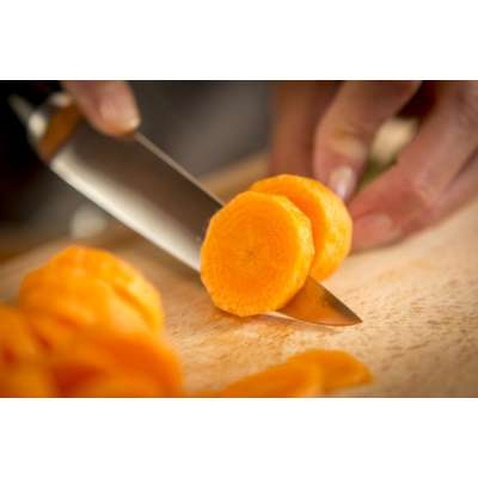 Кухонний ніж Tefal Ice Force 11 см (K2320914)