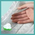 Підгузок Pampers Active Baby Maxi Розмір 4 (9-14 кг), 180 шт. (8006540032725)