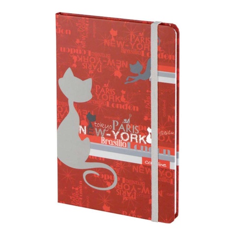 Канцелярська книга Axent A5-, 80sheets., Catsline (8401-17-А)