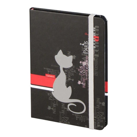 Канцелярська книга Axent A6, 80sheets., Catsline (8402-17-А)