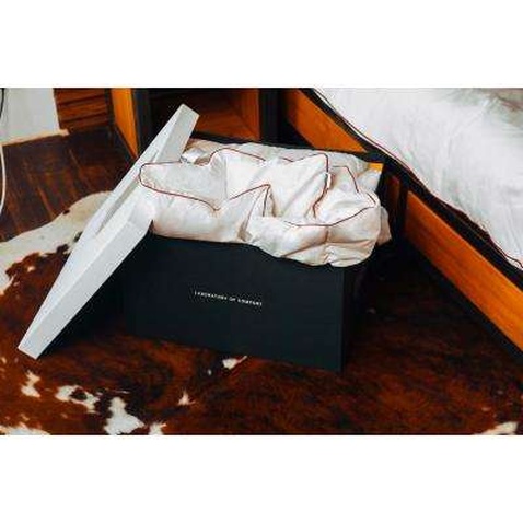 Ковдра MirSon пухова DeLuxe 220 x240 Зима (030 220 x240)