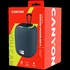 Портативна колонка  Canyon BSP-8 Grey (CNE-CBTSP8G)