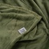 Плед Ardesto Flannel 100% поліестер, зелений 130х160 см (ART0705PB)