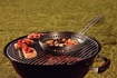 Сковорода-вок для гриля  Tramontina Barbecue 26 см (20847/026)