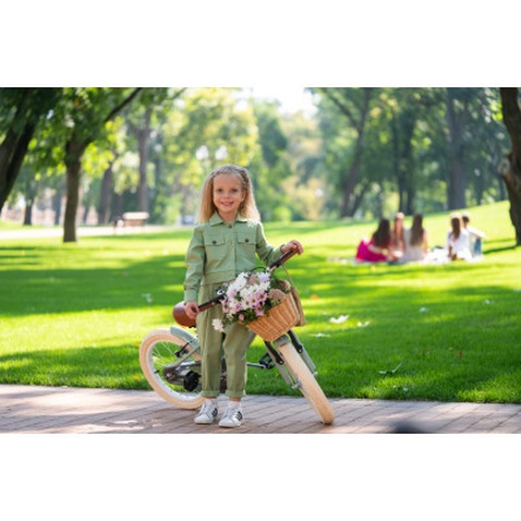 Дитячий велосипед Miqilong RM Оливковий 16` (ATW-RM16-OLIVE)