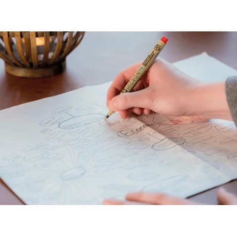 Лайнер Sakura Pigma Micron (0.05) 0,2мм Чорний (084511318410)