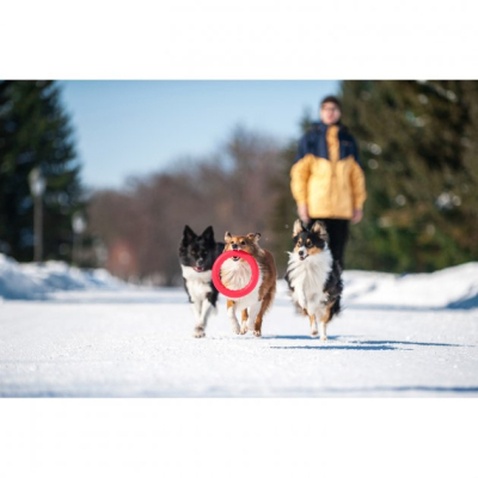 Іграшка для собак Collar PitchDog Кільце для апортування 17 см рожеве (62367)