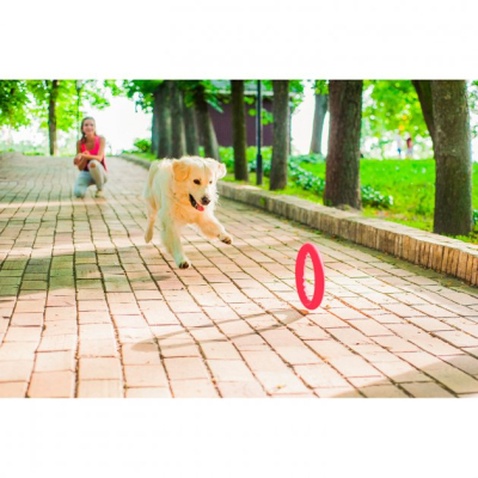 Іграшка для собак Collar PitchDog Кільце для апортування 17 см рожеве (62367)