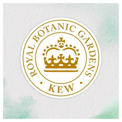 Маска для волосся Herbal Essences Кокос Живильна 300 мл (8700216209922)