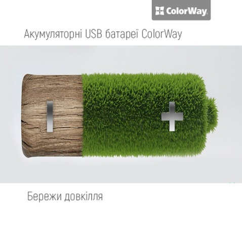 Акумулятор ColorWay AA USB-С 2220 mAh 1.5V (2шт) (Li-Polymer) (CW-UBAA-10)