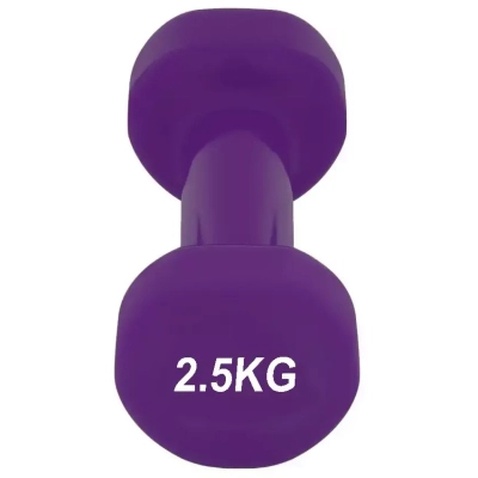Гантель PowerPlay 4125 Achilles 2.5 кг Фіолетова (PP_4125_2.5kg)