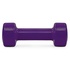 Гантель PowerPlay 4125 Achilles 2.5 кг Фіолетова (PP_4125_2.5kg)