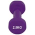 Гантель PowerPlay 4125 Achilles 2.5 кг Фіолетова (PP_4125_2.5kg)