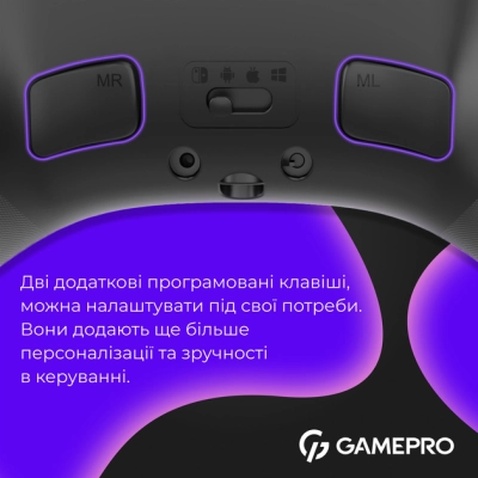 Геймпад GamePro GPX13B 2.4G/BT 5.1/USB/PC/iOS/Android RGB Black (GPX13B)
