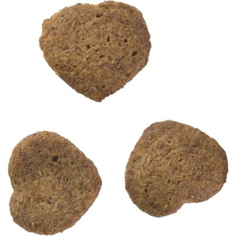 Ласощі для котів Brit Care Superfruits Insect 100 г - комахи (8595602555703)