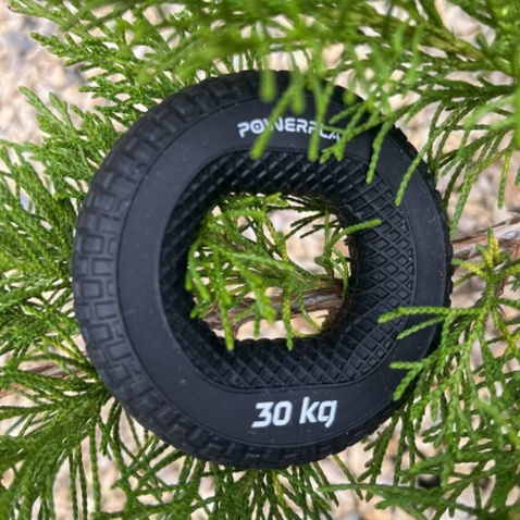 Еспандер PowerPlay PP-4333 Hand Grip Hard 30 кг Чорний (PP_4333_Black_30kg)