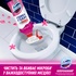 Піна для чищення ванн Domestos Power Foam Для чищення унітазу та ванної Квіткова свіжість 435 мл (8720182796424)