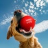 Іграшка для собак WAUDOG Fun Red Ball 70 мм (6001)