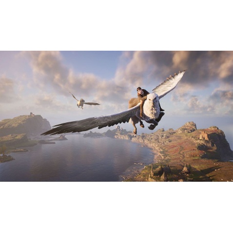 Гра Nintendo Hogwarts Legacy Deluxe Edition, картридж (5051895415597)