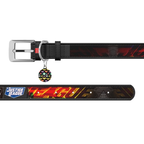 Нашийник для тварин WAUDOG Design з QR паспортом "Ліга справедливості" Ш 12 мм Д 18-24 см чорний (0012-1010-01)