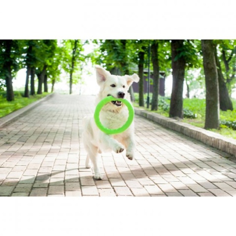 Іграшка для собак Collar PitchDog Кільце для апортування 17 см салатове (62365)