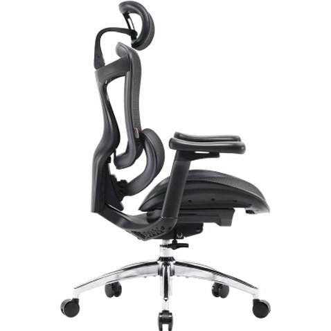 Офісне крісло Sihoo DORO C300L Mesh Black (DORO-C300L-A3-101)