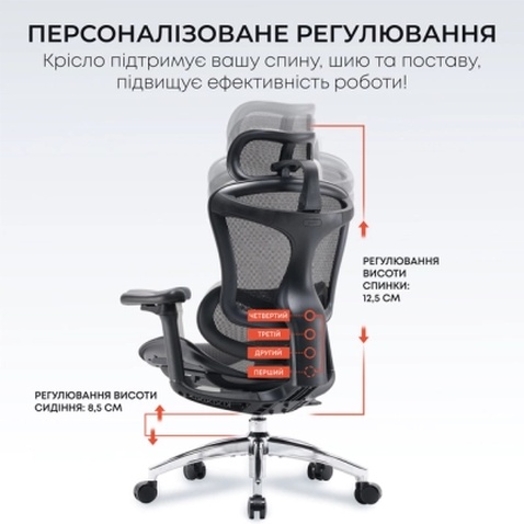 Офісне крісло Sihoo DORO C300L Mesh Black (DORO-C300L-A3-101)