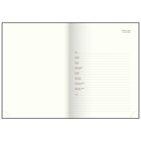 Тижневик Buromax датований 2026 POWER A5 синій (BM.2157-03)